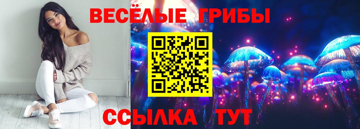 Псилоцибиновые грибы Psilocybine cubensis Лениногорск